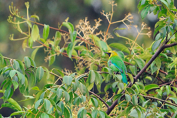 DSC_8661.jpg