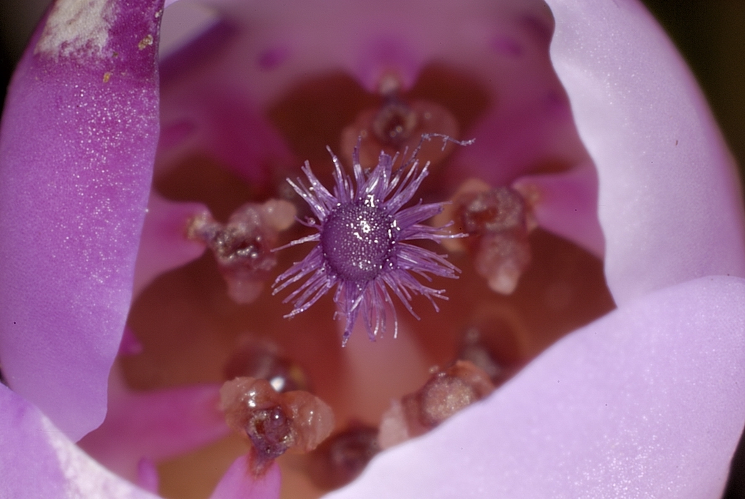 Resize of _DSC9749.jpg