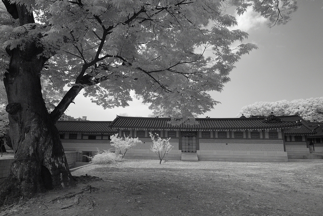 Resize of _DSC5521.jpg