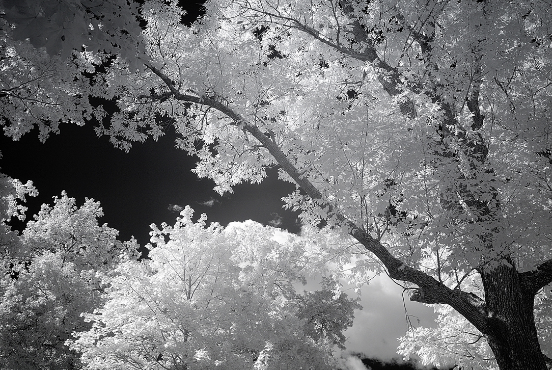 Resize of _DSC3604.jpg