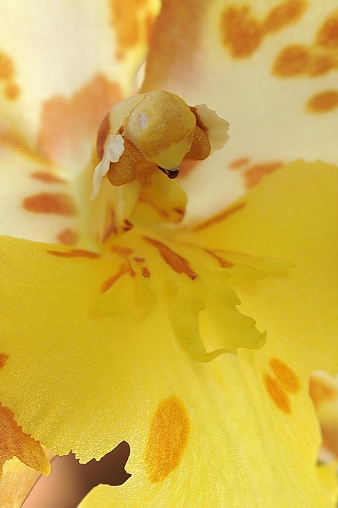 Resize of _DSC2774.jpg