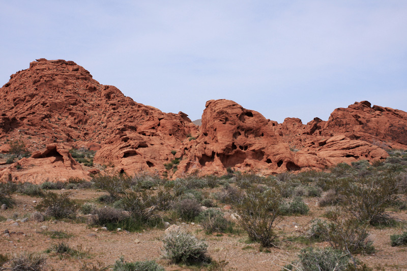 IMG_4533a.jpg