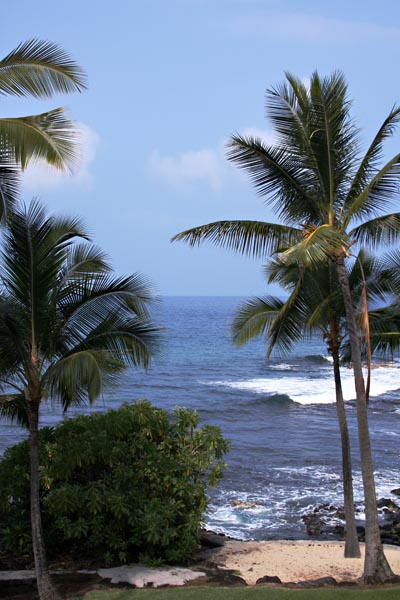 Beach scene
