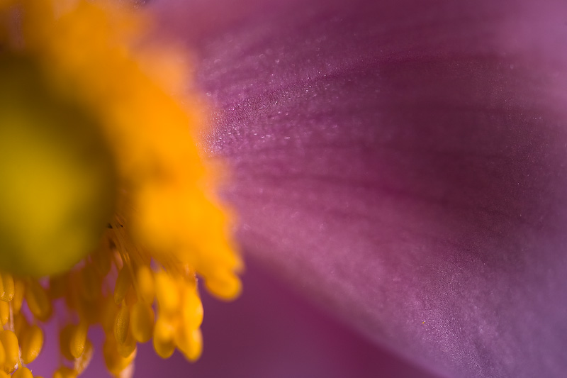 Radiance