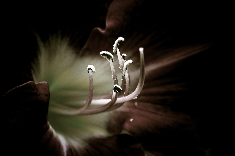 Life under spotlight