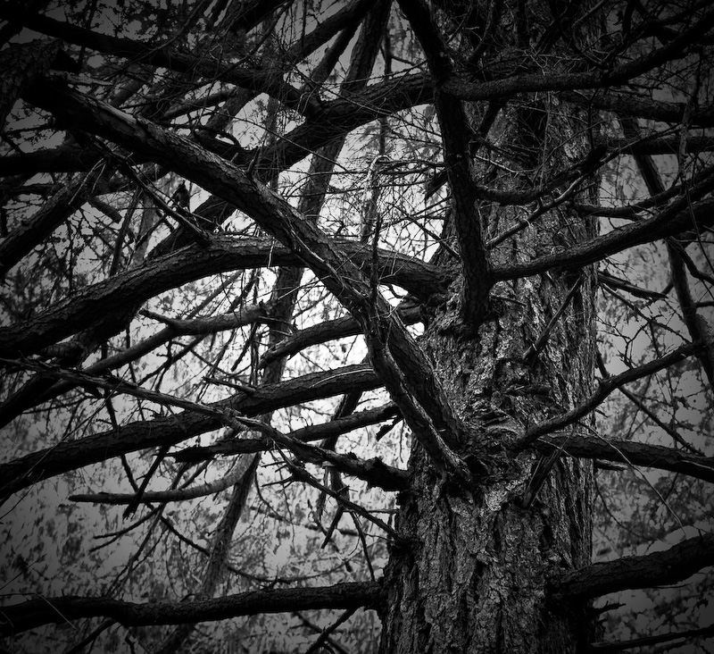 stripped but not destroyed