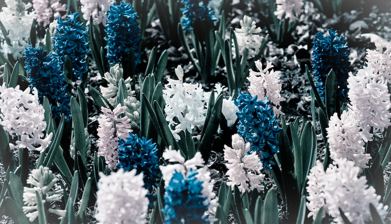 Blue fantasy