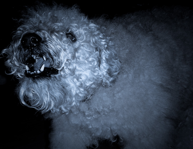 Vicious Misty? - Definitely not!