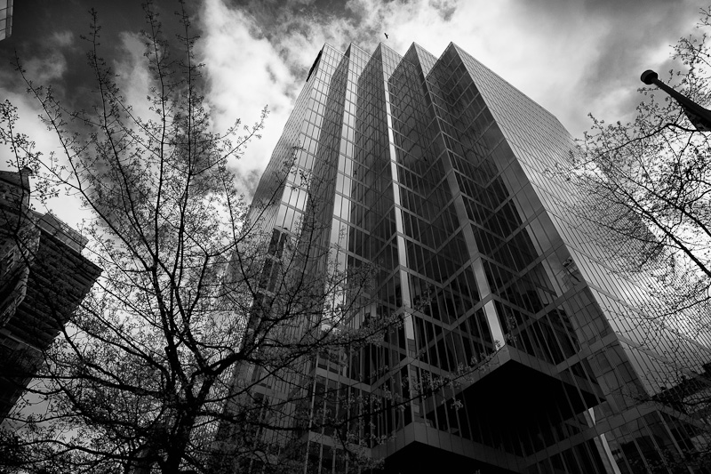 Soaring above the building