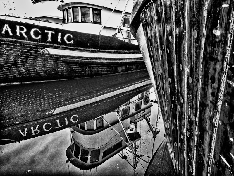 Arctic
