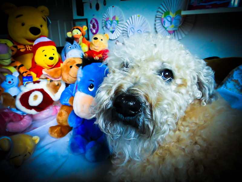 Misty and moms toys