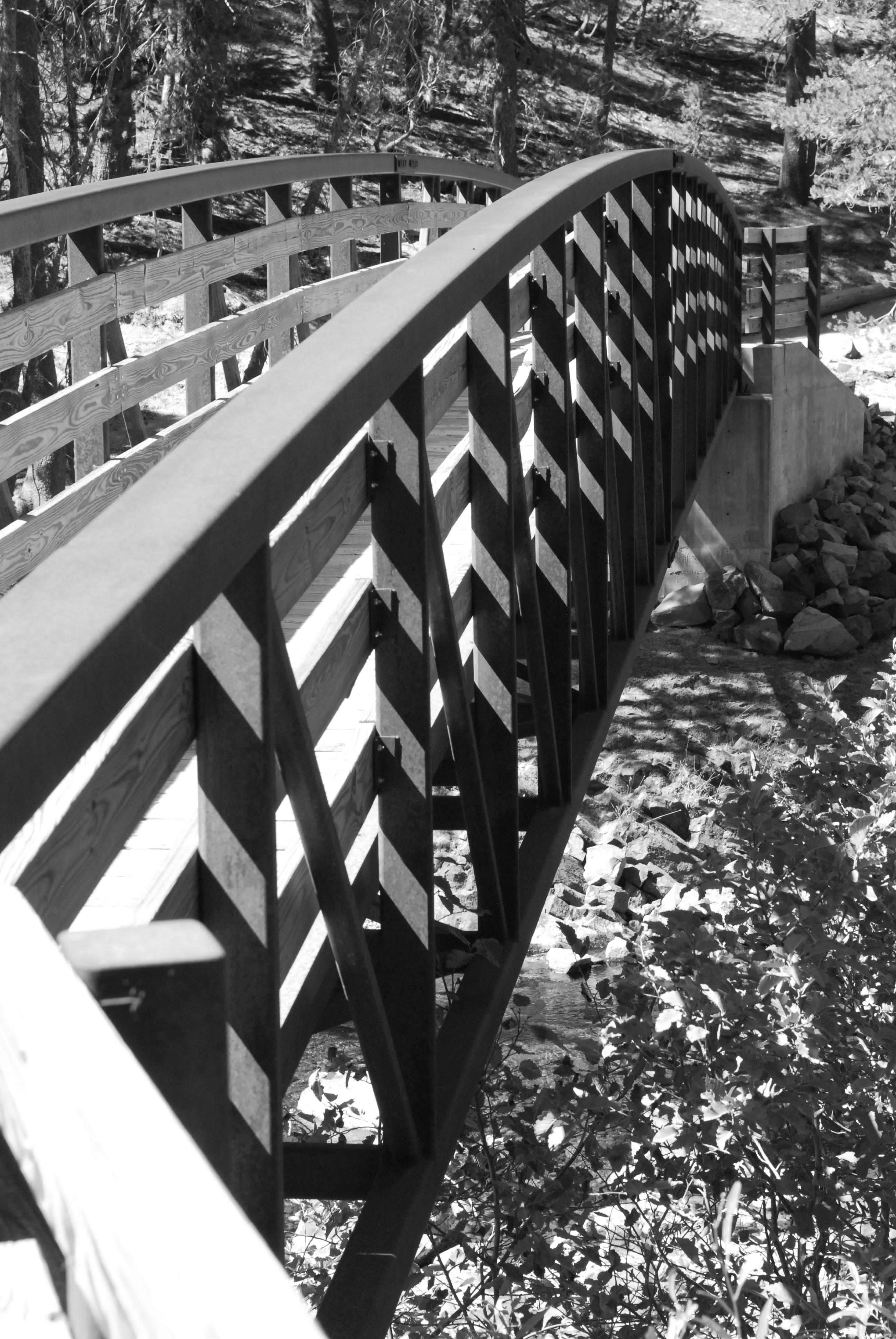 Bridge of the San Juaquin