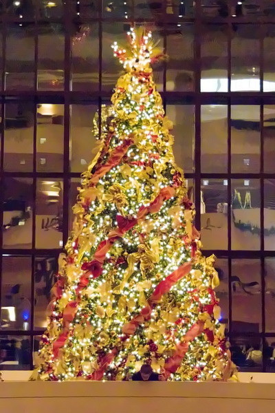 _DSC5986 8x12ppi300Topaz_resize.jpg