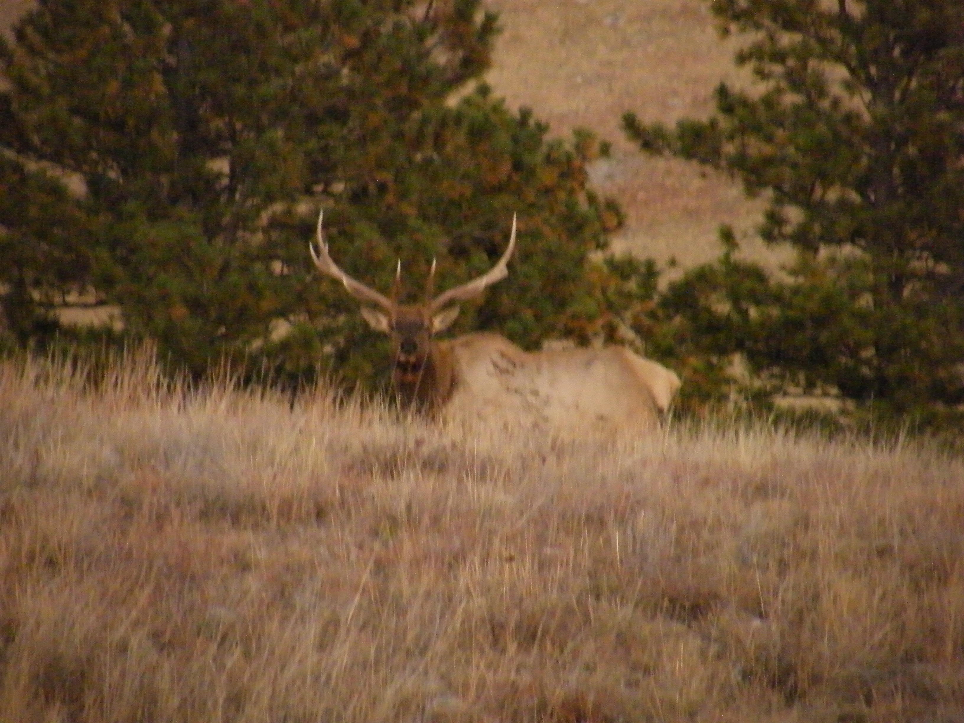 2009_1017Fall0588.JPG