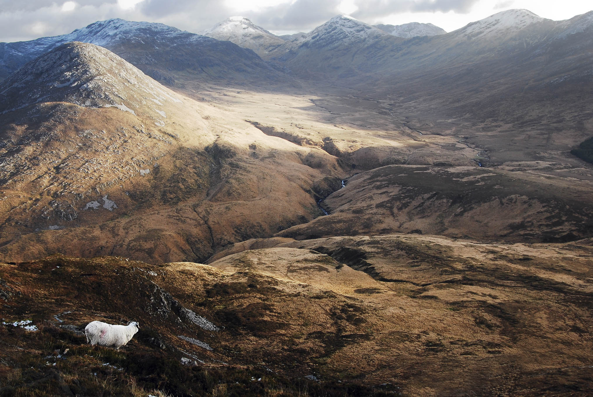 Connemara National Park