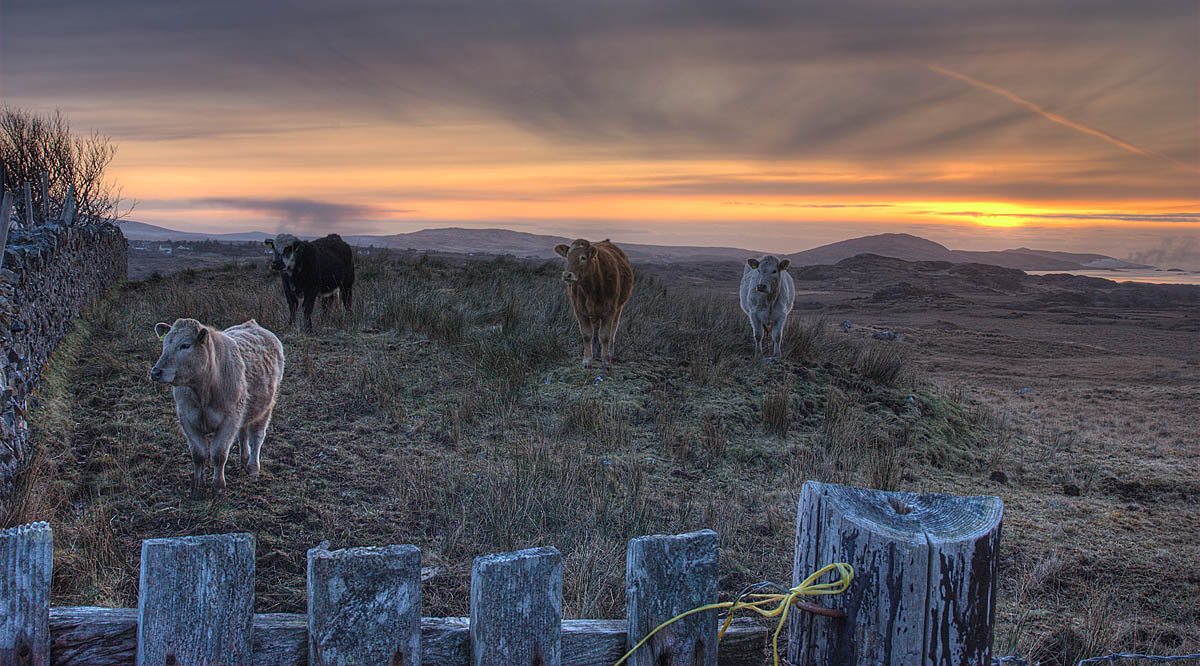 Connemara Sunset