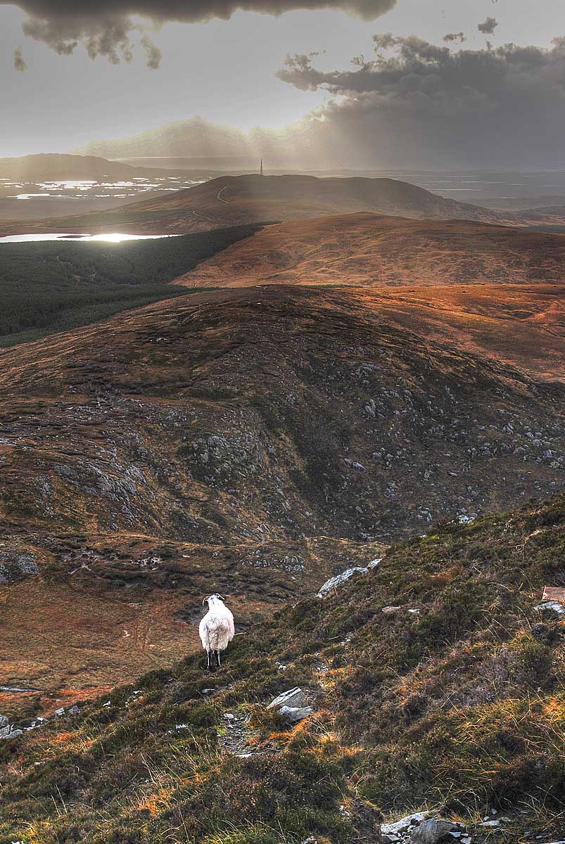 Diamond Hill