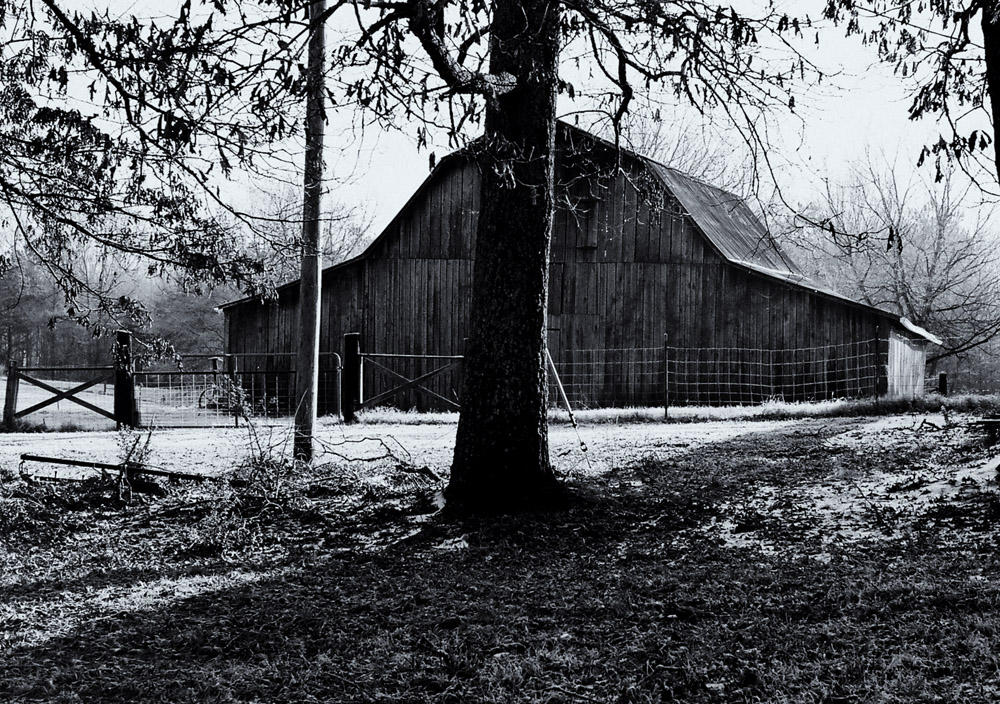 Barn in the Woods