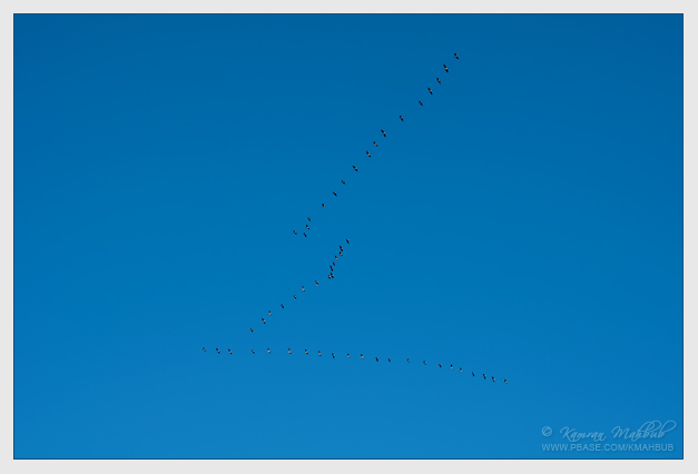 DSC_6251 bs.jpg