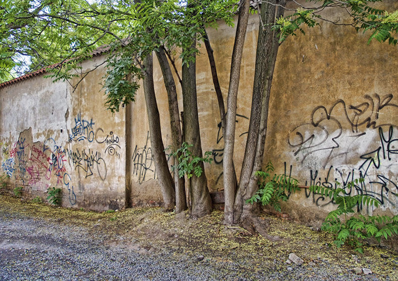 walls and trees