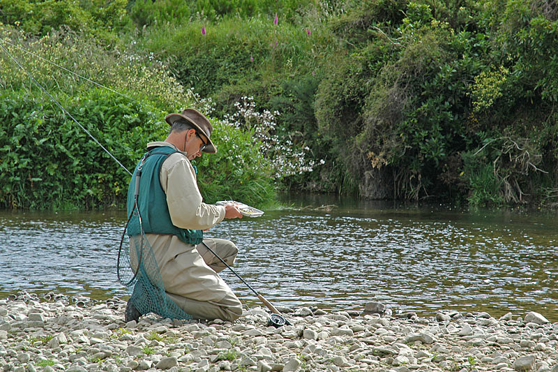 19 Nov 05 - Selecting the right fly