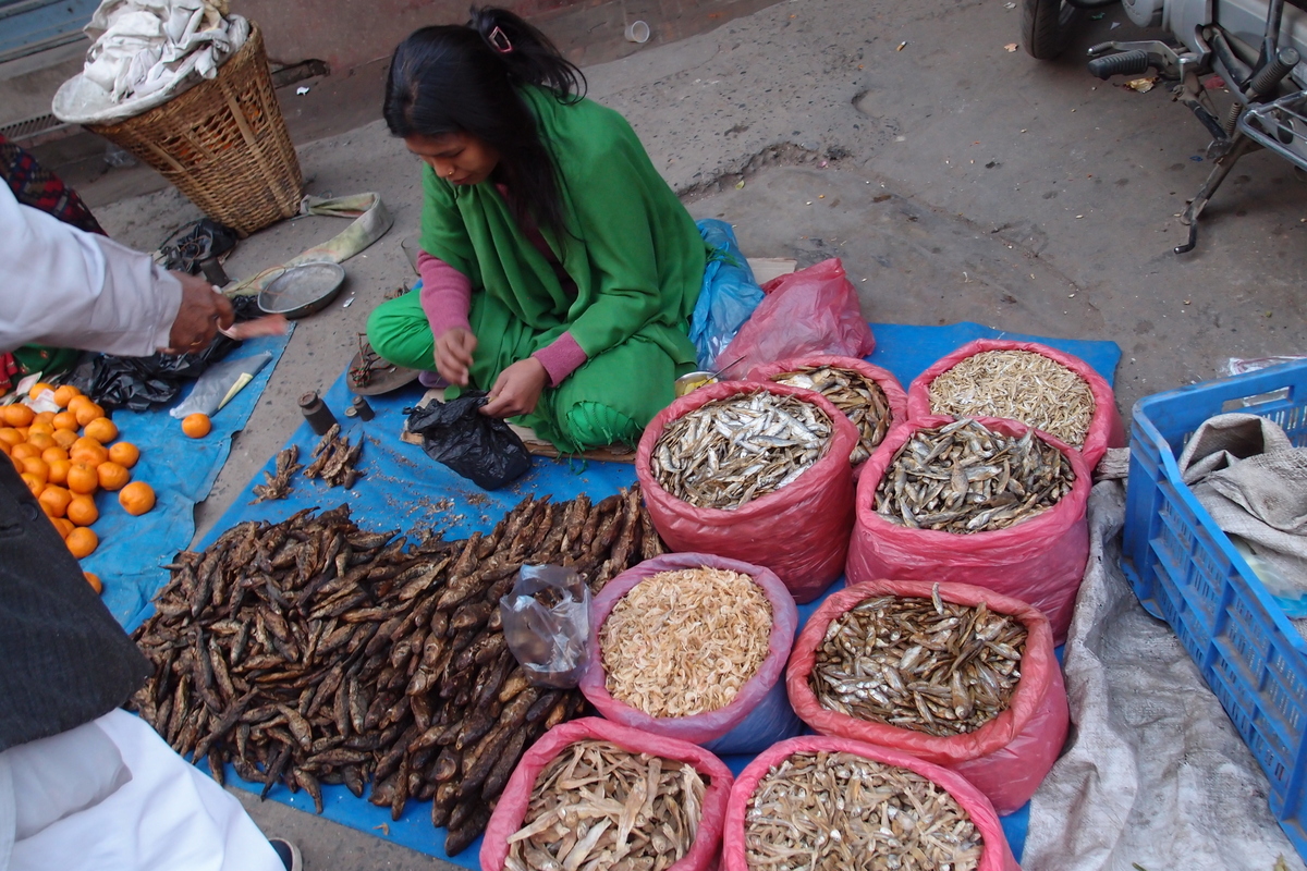 Dried fish