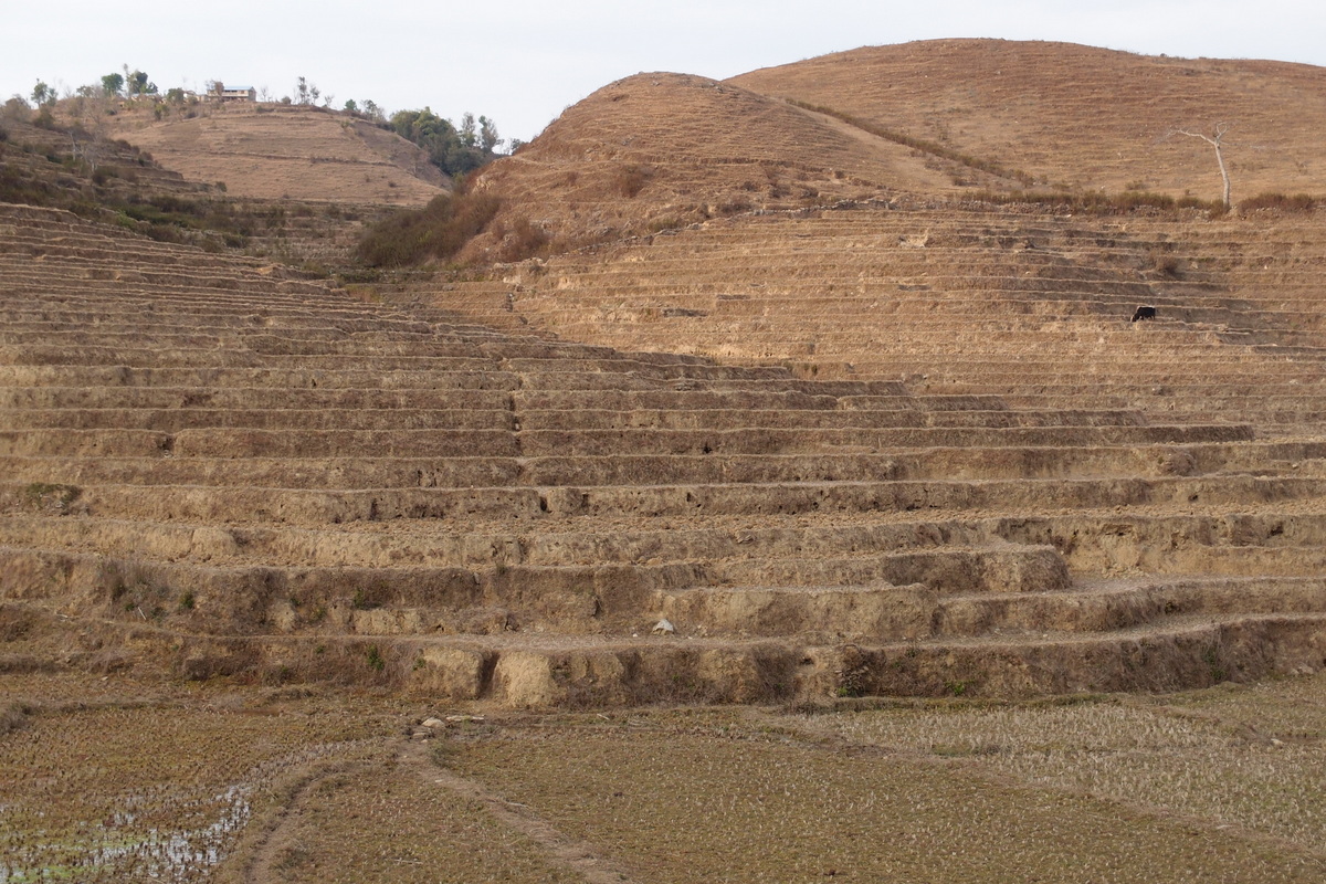 Nepal-095.JPG