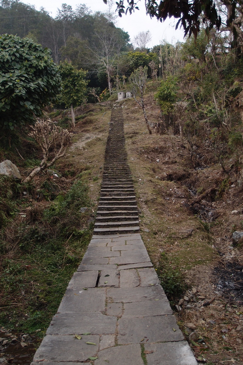 Nepal-112.JPG