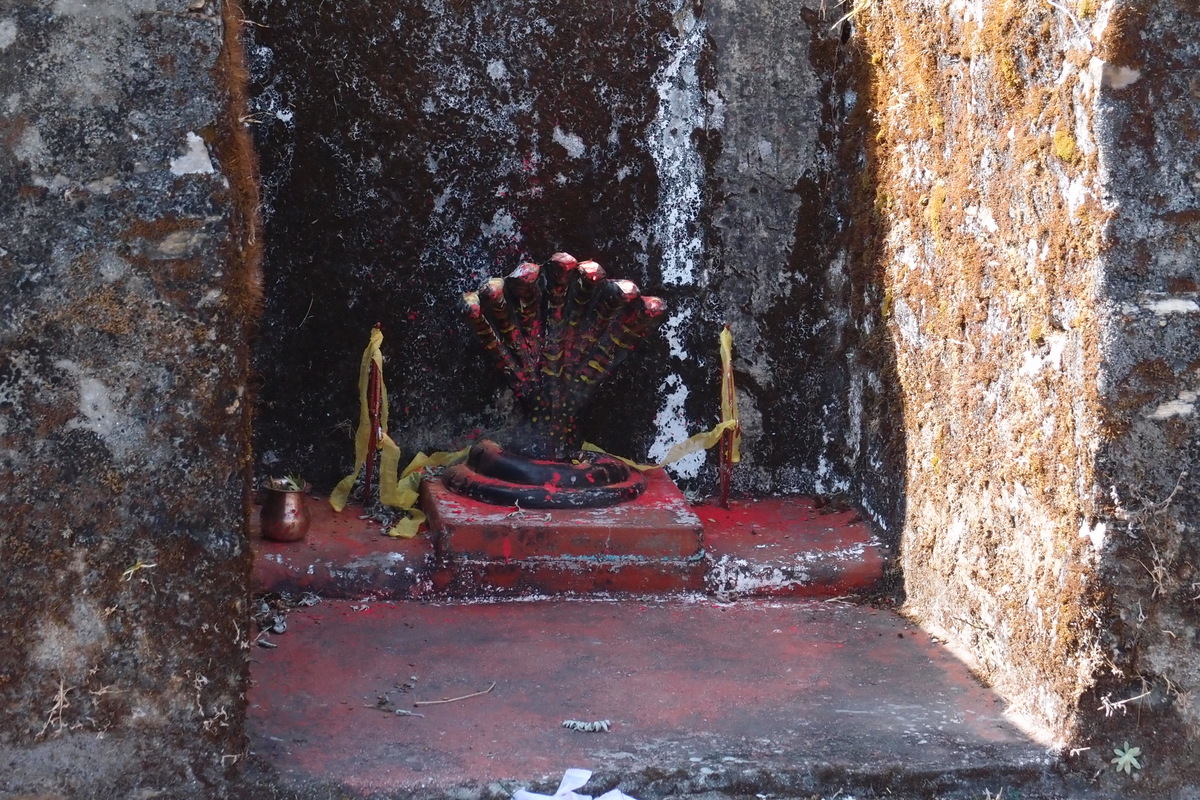 Snake temple