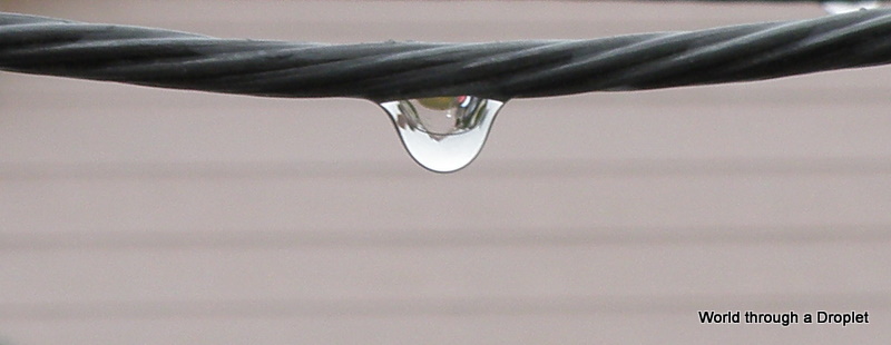 World Through a Droplet<br>by OlyChamp