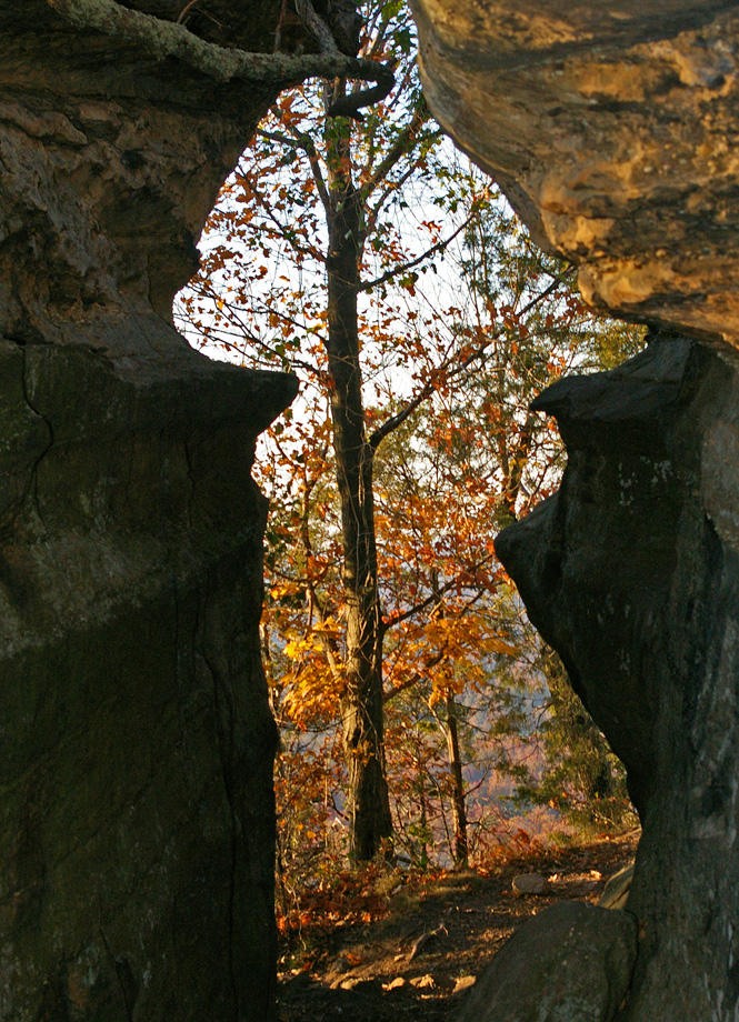 Pinnacle west  split in the summit rock