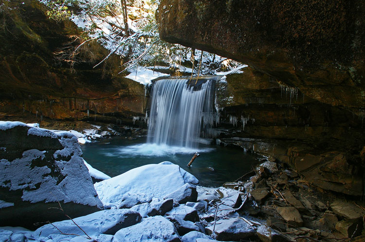 Dog slaughter Falls, KY