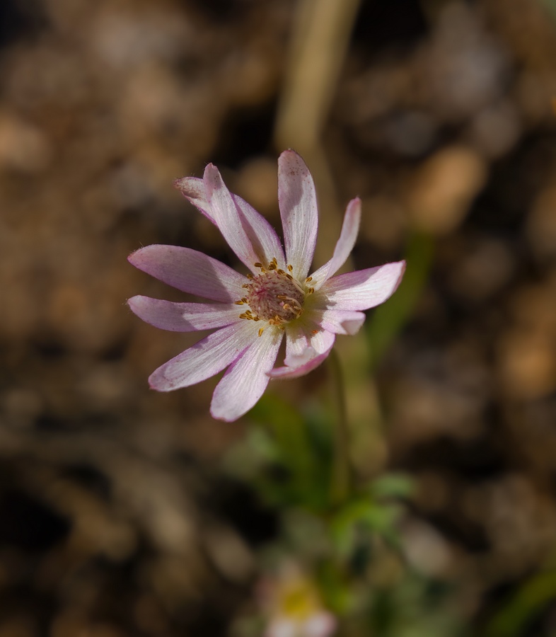 P2270682sm.jpg