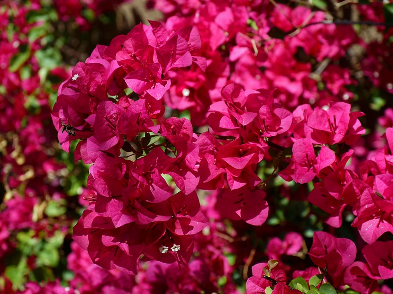 L1000152sm.jpg