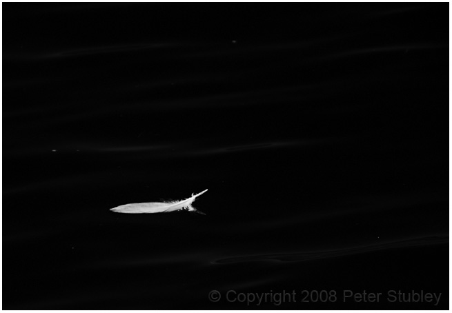 Floating feather.