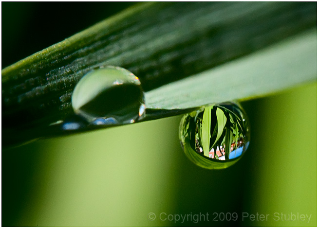 After watering.