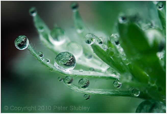 May showers.
