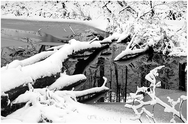 Winter reflection.