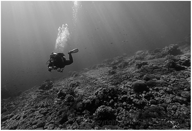 Underwater light rays.