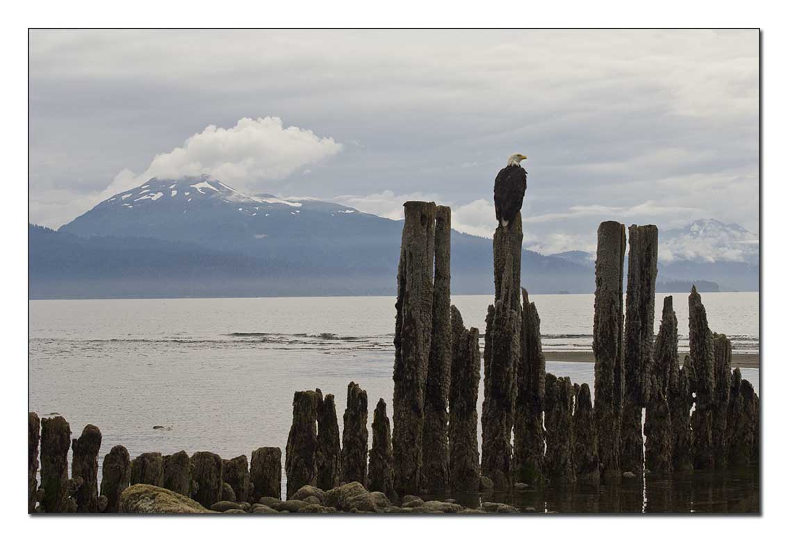 Katchemak Mountains_
