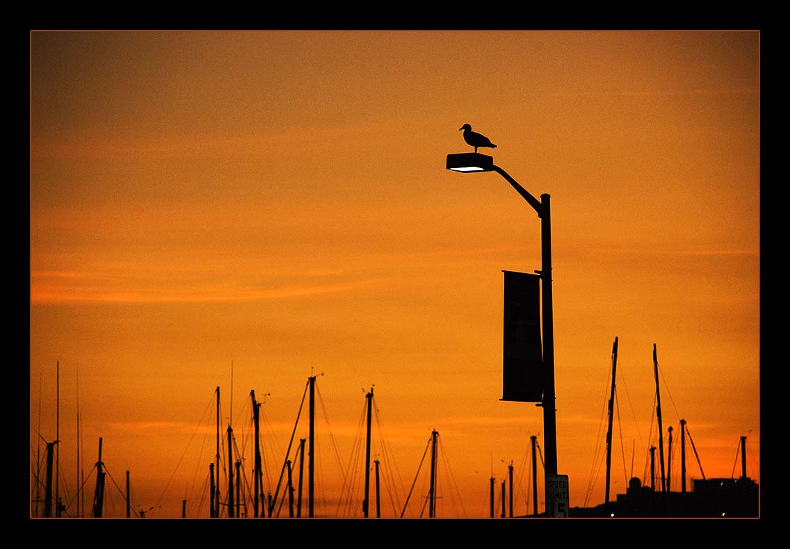 Last Light at Pillar Point Harbor_