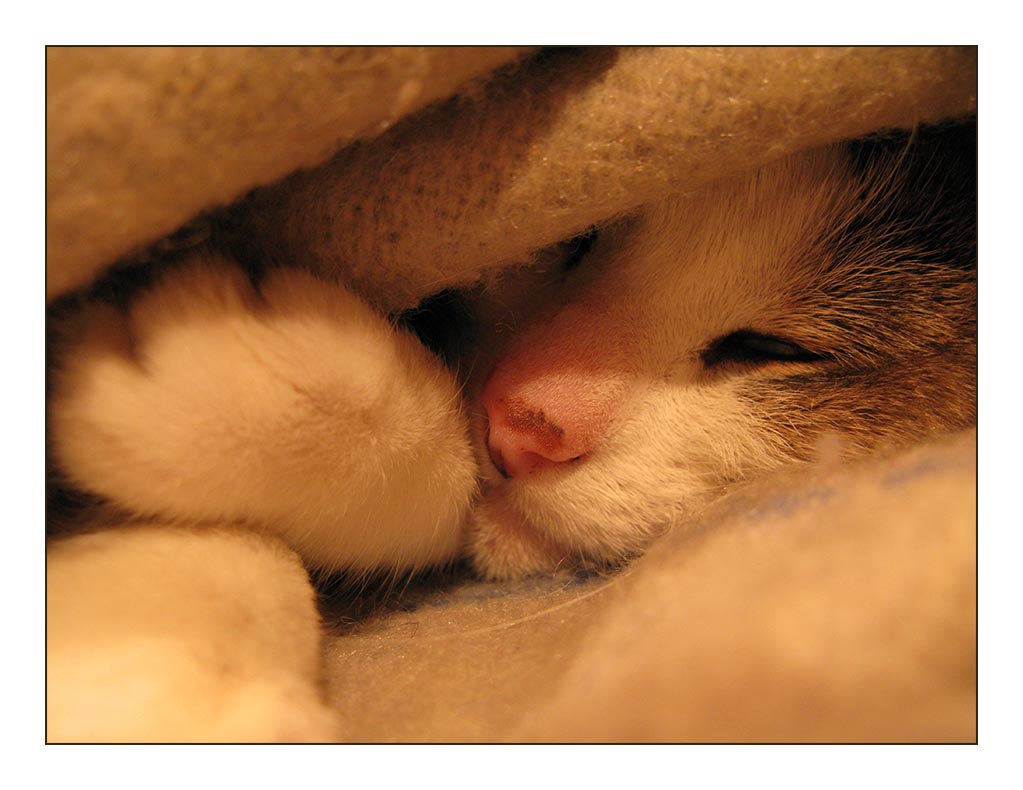 Its too cold