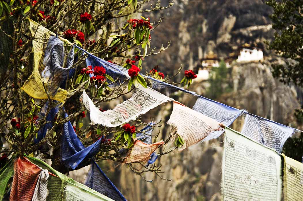 Prayer Flags with Taktsang Lhakhang high up