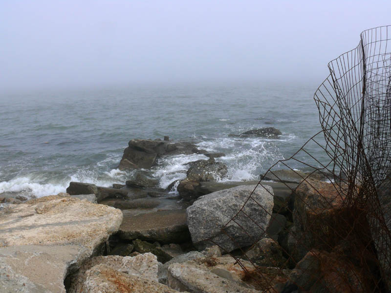 Fogy Day on the Bay