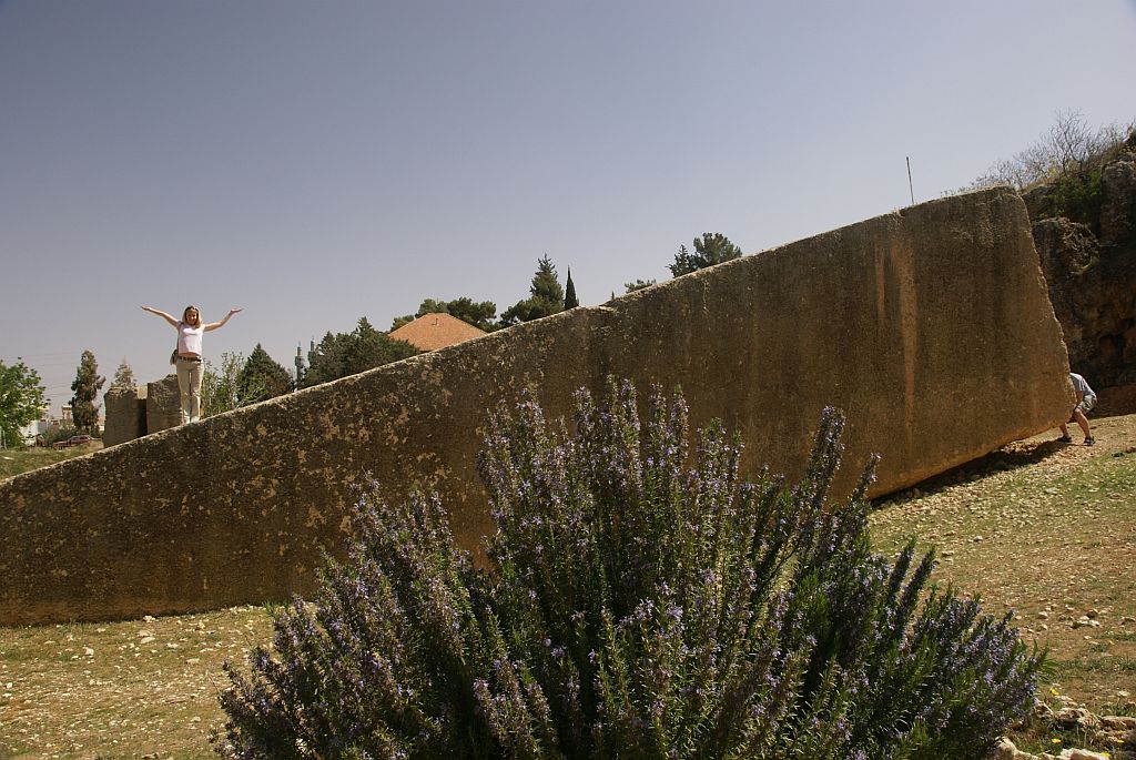 b19.jpg