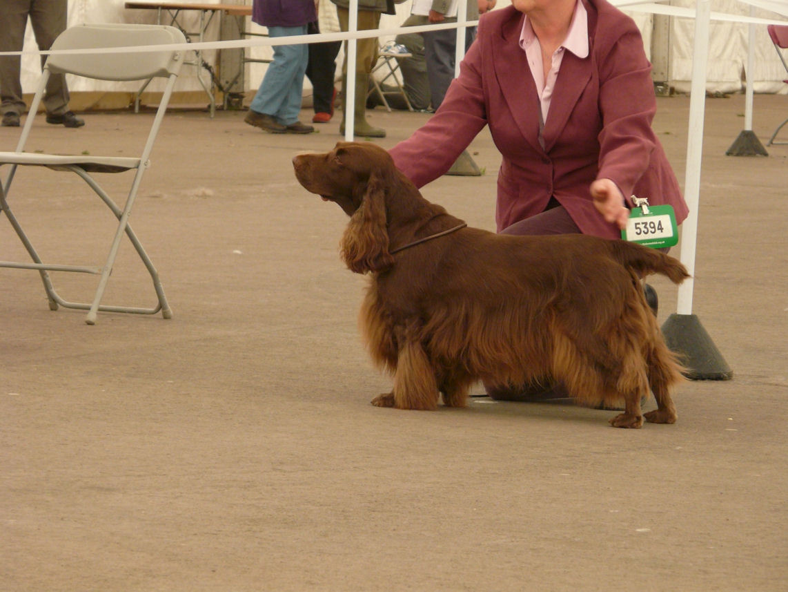 P1000924.JPG