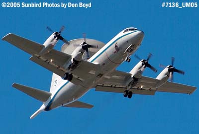 U. S. ICE (Customs Service) Lockheed L-185B Orion P-3B N146CS (ex A9-296, ex N40035, ex N96LW) aviation stock photo #7136