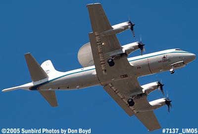 U. S. ICE (Customs Service) Lockheed L-185B Orion P-3B N146CS (ex A9-296, ex N40035, ex N96LW) aviation stock photo #7137