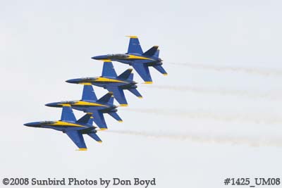 The Blue Angels at the 2008 Great Tennessee Air Show practice show at Smyrna aviation stock photo #1425
