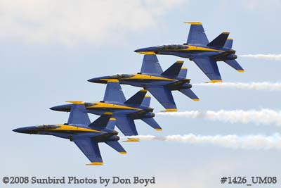 The Blue Angels at the 2008 Great Tennessee Air Show practice show at Smyrna aviation stock photo #1426